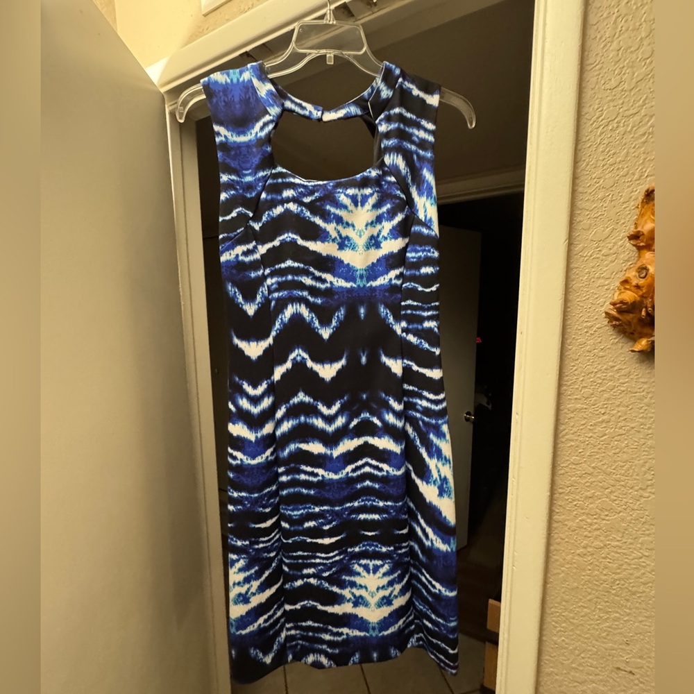 Jennifer Lopez dress
